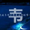 despair的头像