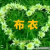 布衣的头像