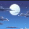 云中月（回复回访不及时见谅。）的头像