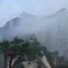 迅雷也下载不了幸福的头像