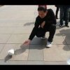 致青春的头像