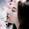 谁懂女人心的头像