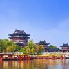优雅的头像
