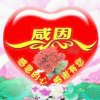 有缘人的头像