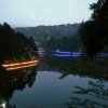 桃花岛主的头像