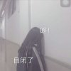 桉的头像