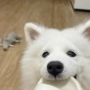 ℡道阿朗的头像