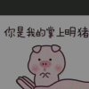 爱给懂的人的头像
