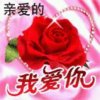 好人一生平安的头像