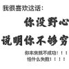 往事随风的头像