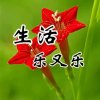 ☞一☆世情★缘☜的头像