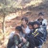 晓芳哥哥的头像