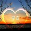 随风的头像