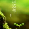 心思维的头像