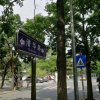 幸福50后的头像
