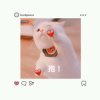 .昭玦的头像