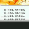 宁静致远的头像