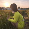  Sun、美人鱼 的头像