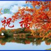 深秋的红叶的头像