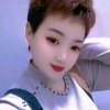 潮湿的心的头像