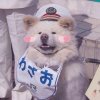 澜洄的头像