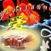 快乐《停币》的头像