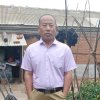 勤奋喜成的头像