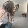 1的头像