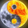 心所思，行即达！的头像