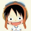 雷君★的头像