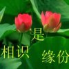 人生的头像
