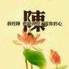 陳的头像
