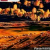 富雯的头像