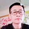 鹦鹉开心的头像