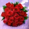 红玫瑰的头像