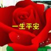平安的头像