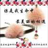 缘份的头像