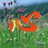 凉辰梦瑾空人心的头像