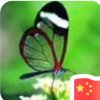 赵晓义的头像
