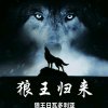 傲世孤狼的头像
