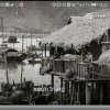 lndians-Tôkaito的头像