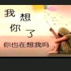 一生无悔.的头像