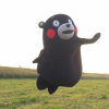 龟儿是个瓜娃子的头像