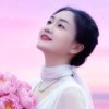 小雪的头像