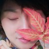 刘丹的头像