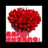 理想是美好的，现实是残酷的的头像