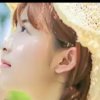 淡淡一笑的头像