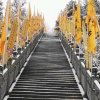 ཀརྨ་ཤེས་རབ།嘎玛 希热的头像