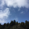 小付的MM的头像