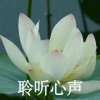 笑颜如花 的头像